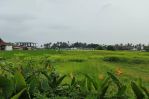 thumbnail-premium-and-best-land-for-lease-in-seseh-beach-minimum-15-are-8