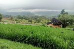 thumbnail-tanah-best-view-cijeruk-bogor-gunung-salak-4