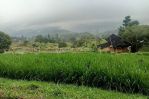 thumbnail-tanah-best-view-cijeruk-bogor-gunung-salak-3