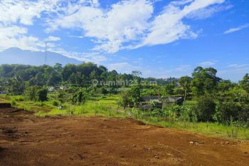 Dijual tanah puncak bogor shm