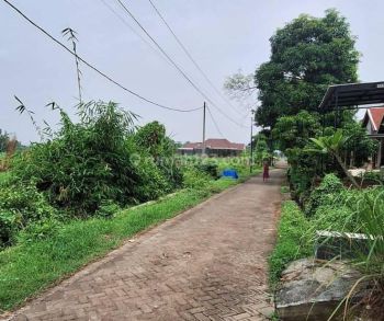 Dijual Tanah Pungging Mojokerto Jawa Timur