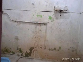 Disewakan rumah pertahun di gedog Sanan wetan Blitar