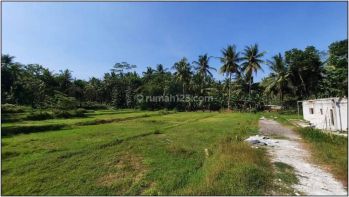 90 Juta Aja, Tanah Murah Jogja Dekat Exit Tol Wates
