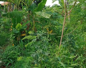 Tanah Murah 210 M2 Tidak Masuk Mobil Cocok Kontrakan