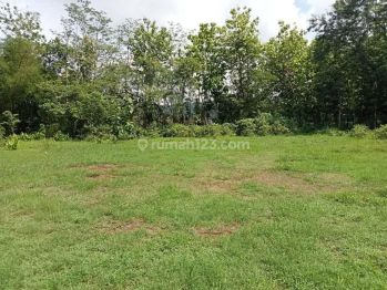 Dijual Tanah Villa Jogja Selatan, Dekat Ring Road Bantul