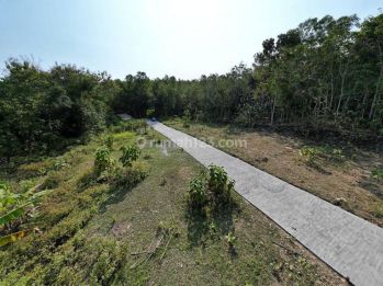 Dekat Puskesmas Panjatan Kulon Progo Yogyakarta Tanah SHM