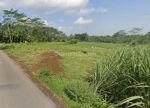 thumbnail-tanah-3500-m2-shmdi-gondanglegi-malang-akses-mobil-simpangan-2