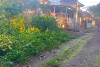 Tanah Area Prambanan Dijual; Harga Masih Terjangkau, SHM Siap Ajb