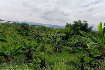 Tanah Parung Panjang Murah Luas 1.6HA SHM Parung Panjang Bogor