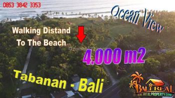 Tanah Siap Bangun Seluas 40 Are Untuk Hunian di Tabanan