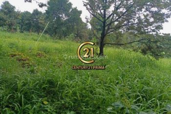 Kavling Luas Cocok Untuk Perumahan Nempel Bintaro Sektor 9