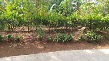Dijual Murah Tanah Kebun Akses Mobil di Bojong Purwakarta