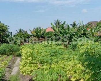 Tanah Tepi Jalan Kawasan Harapan Raya