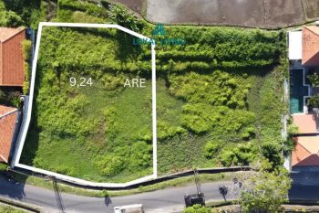 Tanah 9,24 are Menghadap Jalan Raya di Canggu dengan Pemandangan Sawah