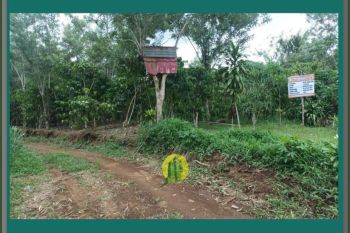 Tanah Kavling Dijual dekat Kantor Pemerintahan Kepahiang Bengkulu