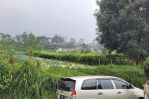 thumbnail-dijual-cepat-tanah-kebun-strategis-cocok-utk-cluster-di-lembang-1