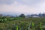 thumbnail-dijual-cepat-tanah-kebun-strategis-cocok-utk-cluster-di-lembang-5