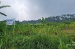 thumbnail-dijual-cepat-tanah-kebun-strategis-cocok-utk-cluster-di-lembang-3