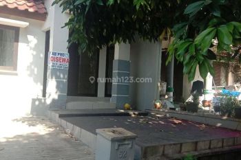 Rumah 1 Lantai Siap Huni di Sutera Delima Alam Sutera Tangerang