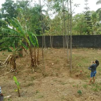 Kavling Murah Lingkungan Perumahan di Nyatnyono Ungaran