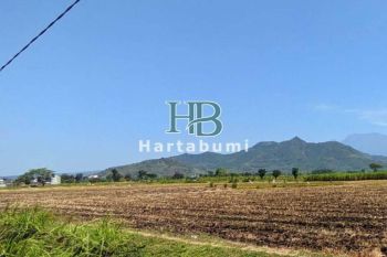 Tanah Kavling Kediri Dekat Kampus Brawijaya SHM Pekarangan