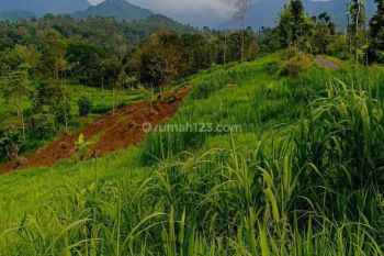 JUAL Tanah di Wonosalam, Jalan Raya Aspal, Jombang Jawa Timur