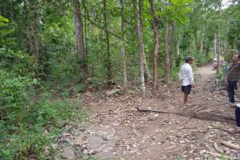 Dijual tanah murah cocok untuk investasi bercocok tanam dan bertenak sapi