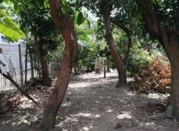 Tanah Denpasar Bali, Akses Jalan 7 Meter, Lebar Depan 12 Meter