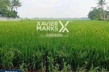 Tanah Murah Luas di Raya Golek Karang Duren Pakisajii Malang