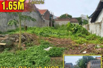 Harga Bawah Njop Tanah Siap Bangun di Jalan Singa Kalicari