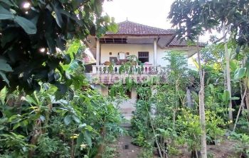 Jarang Ada! Rumah kan Murah di Pinggir Jalan Utama Goa Gong, Ungasan.