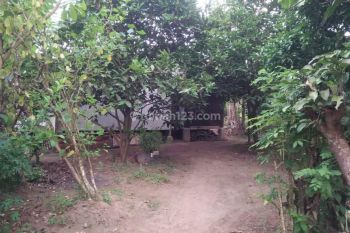 Dijual Tanah Petir, Serang