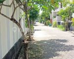 thumbnail-house-for-rent-good-area-and-close-to-sanur-12