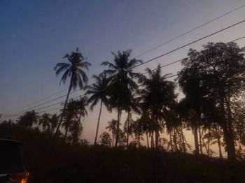 Sell Tanah: TANAH VIEW PANTAI