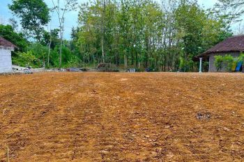 Tanah Super datar Siap Bangun Gudang Sragen