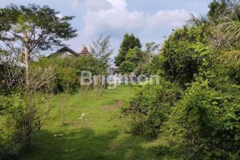 Tanah 854m2 dekat kantor kecamatan Ngasem , Kediri