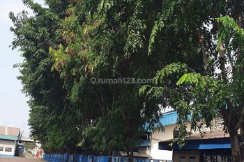 Ex Pabrik Di Karawang Bangunan Bagus Harga Murah