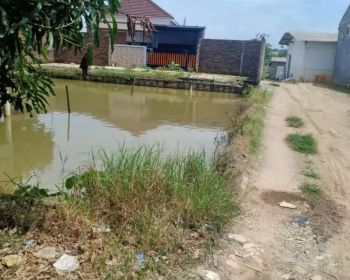 Sell Tanah: Kolam ikan air subur