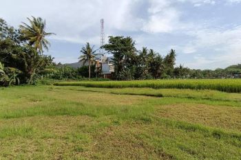 Kavling Cluster Tamantirto, Hanya 600 Mtr Kampus UMY, Cocok Bangun Kos/Hunian