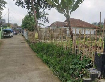 Tanah Kebun Murah Cisarua