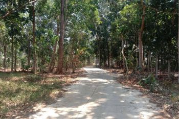 Dijual Tanah Siap Bangun Di Dekat Gorry Mart Patemon Gunungpati