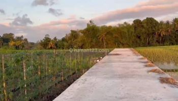 Dijual Tanah Super Premium ITR Wisata Di Kedunggu Tabanan Bali