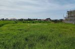 thumbnail-premium-land-in-cemagi-near-canggu-for-residential-or-business-5