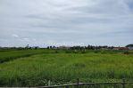 thumbnail-premium-land-in-cemagi-near-canggu-for-residential-or-business-2