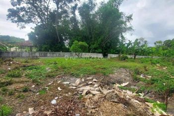 7 ara Land for lease located in Umalas Tunon.