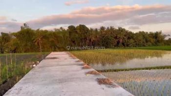 Dijual Tanah Super Premium ITR Wisata Di Kedunggu Tabanan Bali