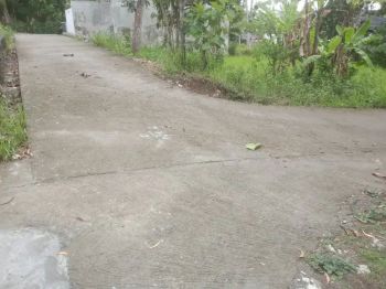 Dijual Tanah Pekarangan Dijanti Sawit gamping sleman