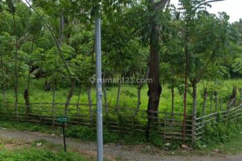 Tanah Di Tanjung Kait Tanjung Anom Mauk Tangerang