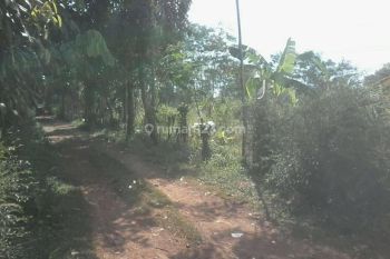 Rent Tanah: Tanah Pejaten