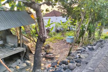TANAH COCOK VILLA RENTAL DI DALUNG CANGGU AREA